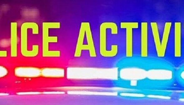 imgi_12_Police Activity